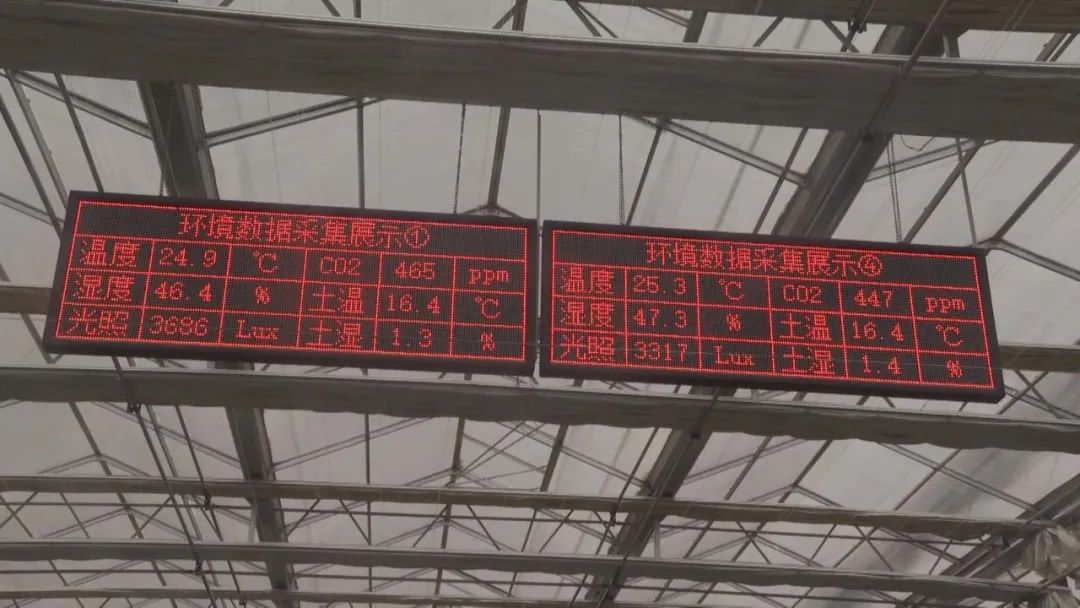 3044am����(�й�)���Źٷ���վ