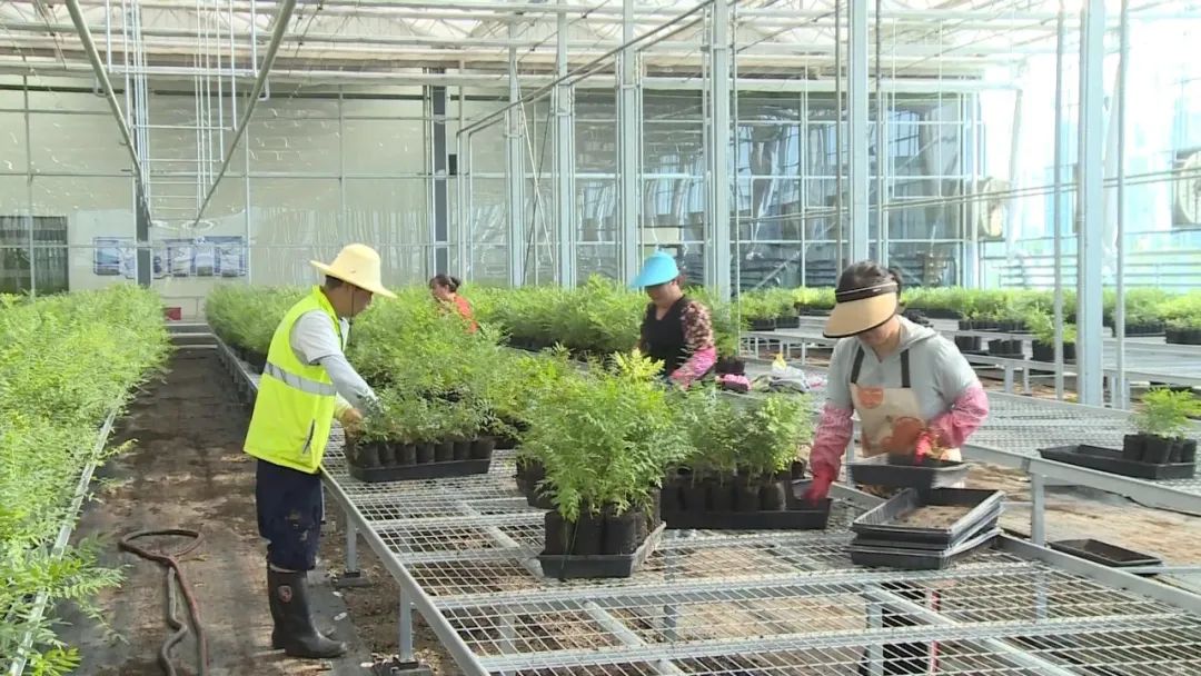 3044am����(�й�)���Źٷ���վ